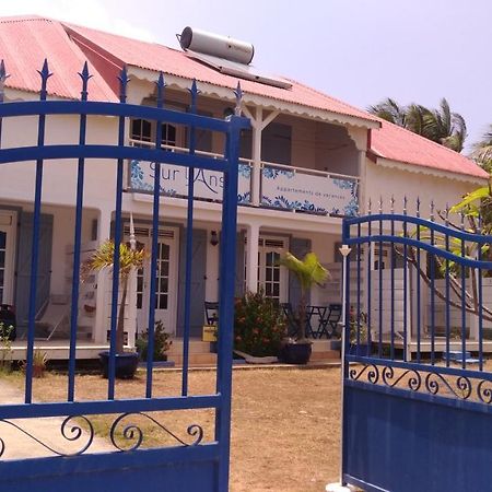 Sur L'Anse Villa Terre-De-Haut Kültér fotó